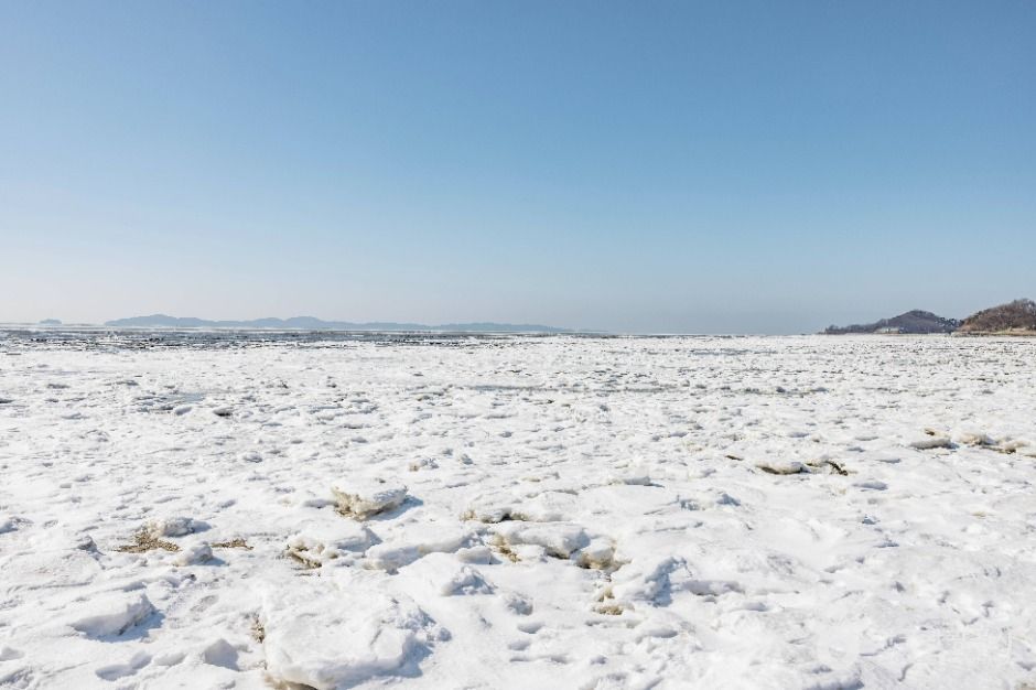 인천_동막해변 (5)