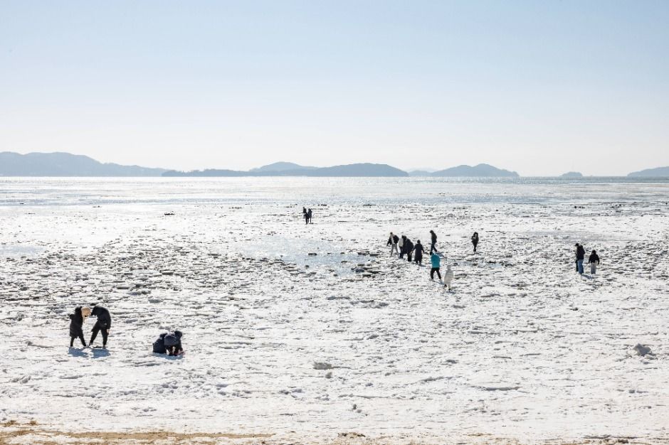 인천_동막해변 (12)