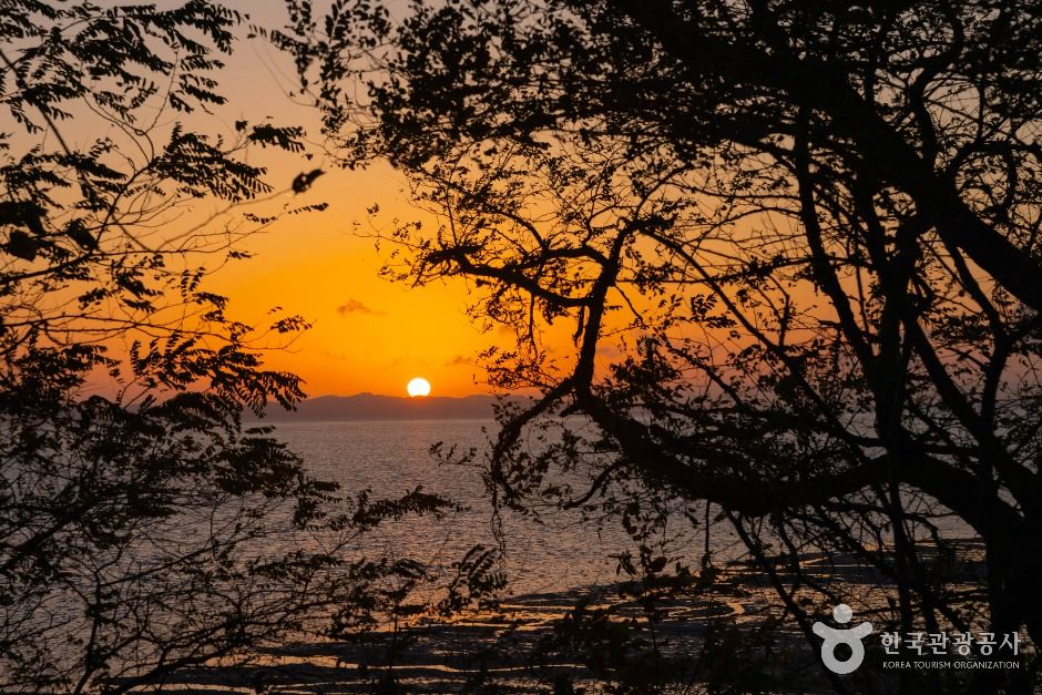 인천_분오리돈대 (6)