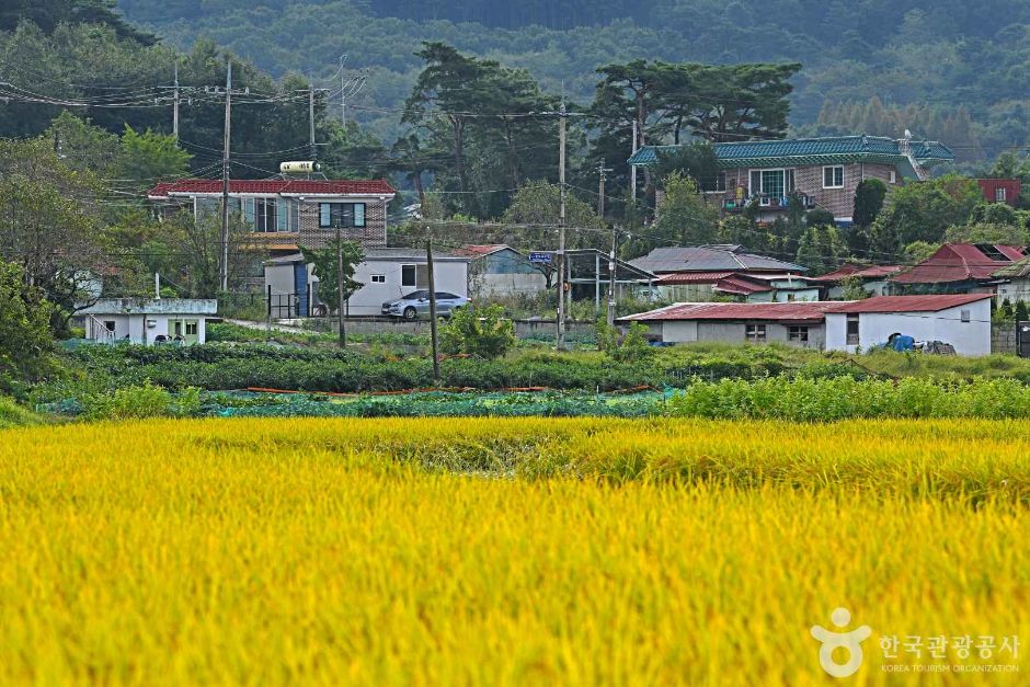 인천_강화_강화 용두레마을 (3)