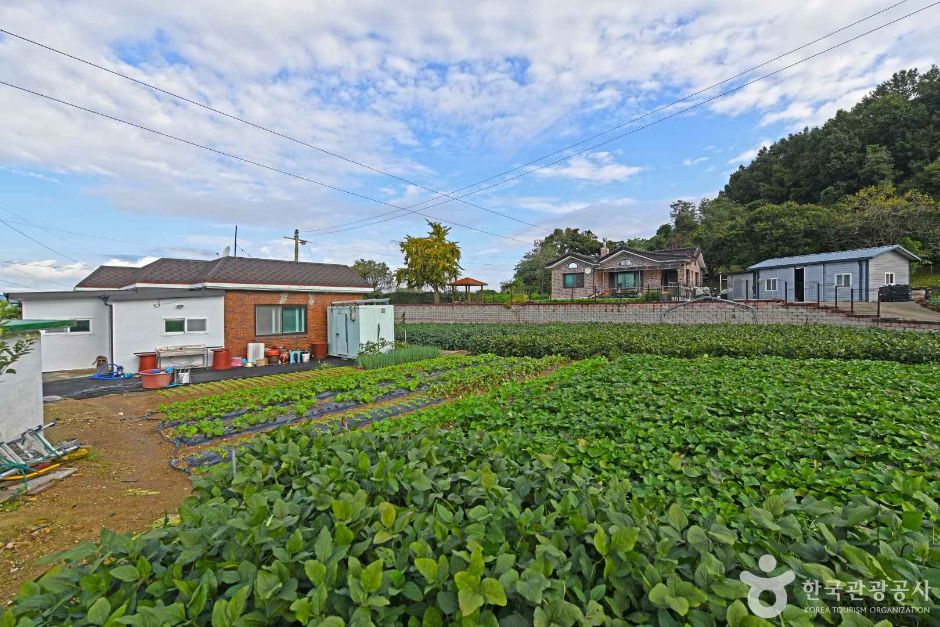 인천_강화_강화 용두레마을 (2)