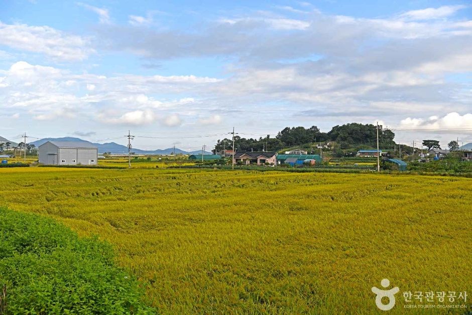 인천_강화_강화 용두레마을 (5)