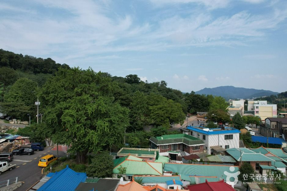 인천_강화 원도심 스토리워크 (5)