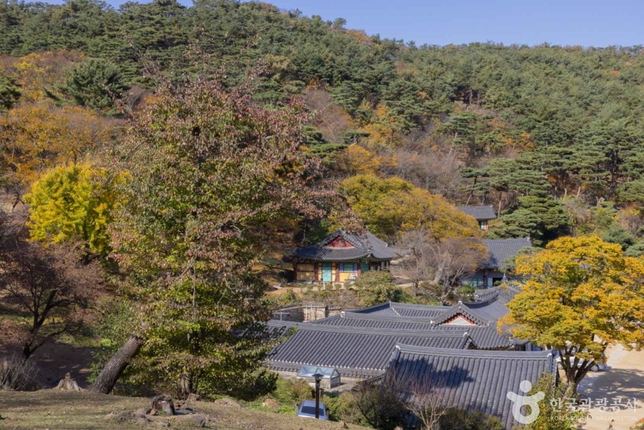 강화 전등사 (5)