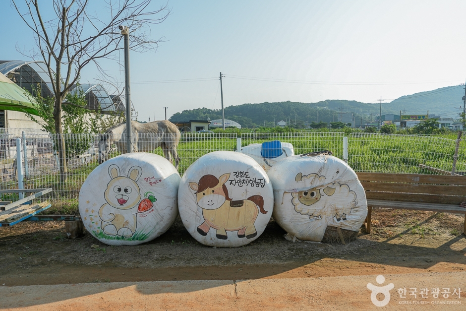 강화도 자연체험농장(29)