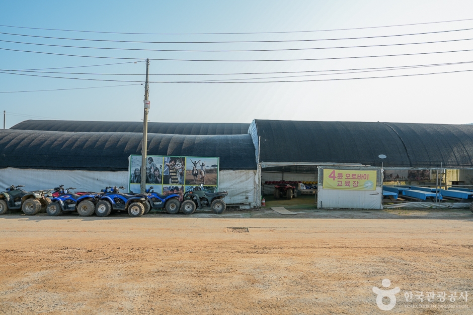 강화도 자연체험농장(2)