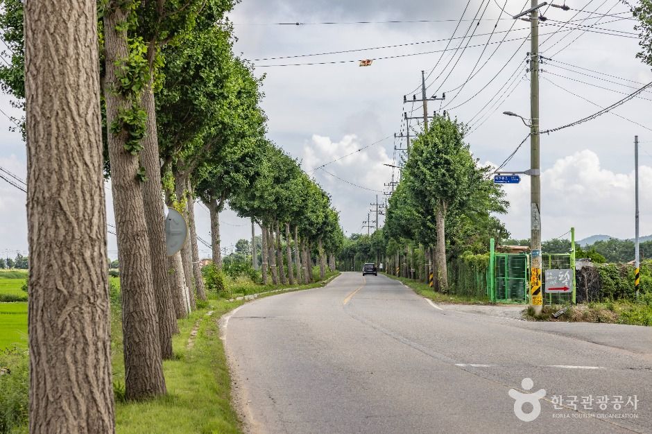 강화_강화도동부해안도로 (14)