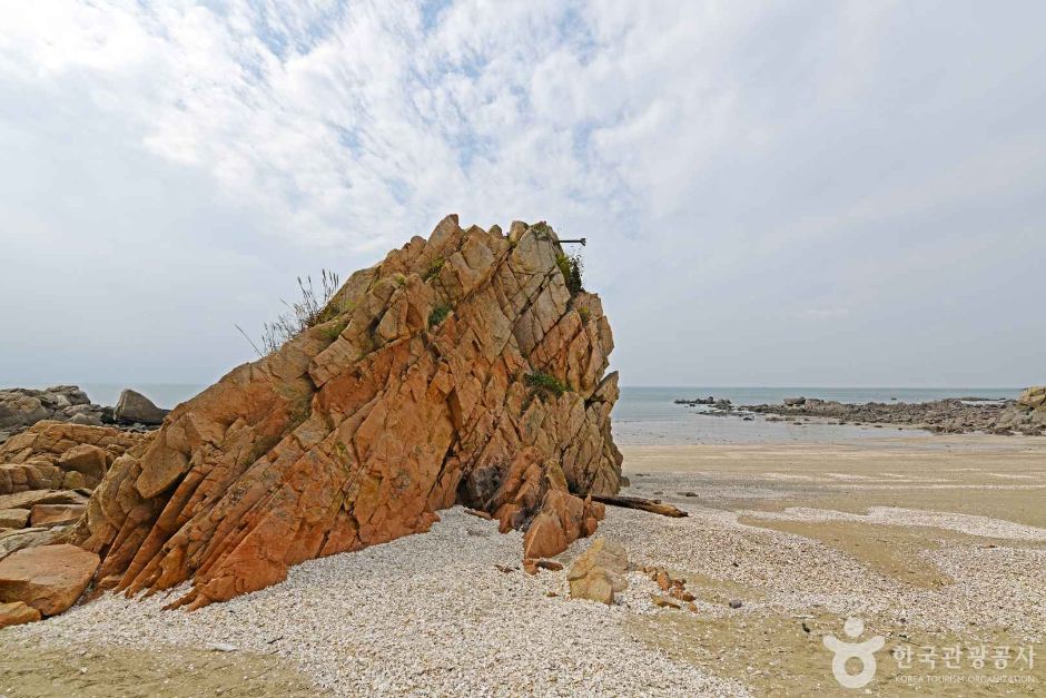 중구_거북바위 (5)