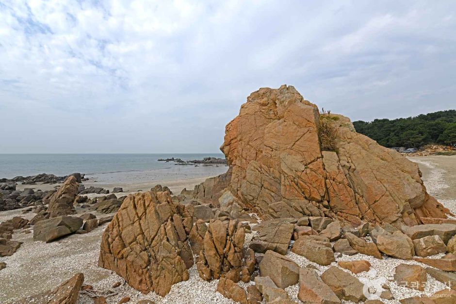 중구_거북바위 (3)