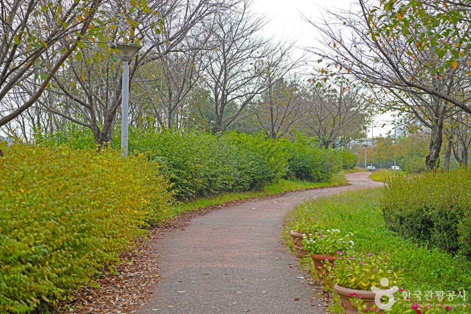 서구_경인아라뱃길 검암공원 (4)