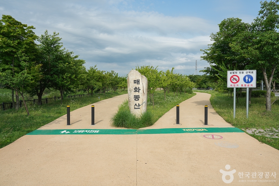 경인아라뱃길 매화동산