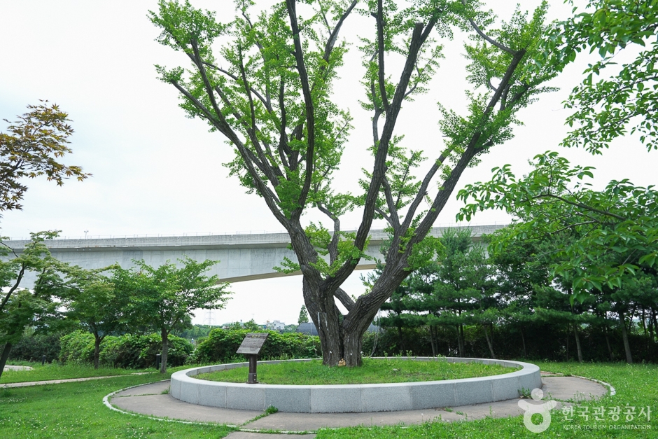 경인아라뱃길 시천공원3