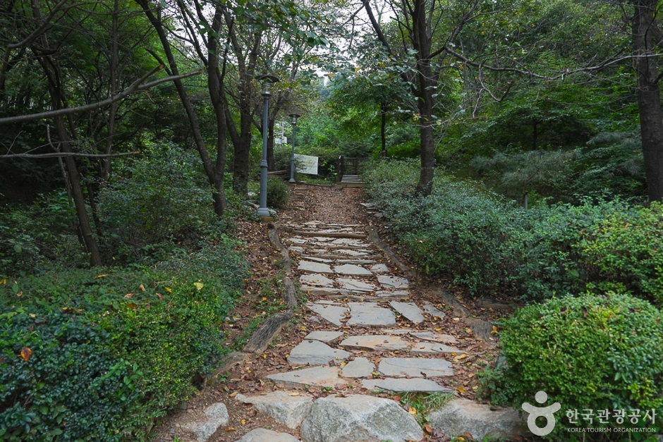 A04304_인천_계양_계양산(11)