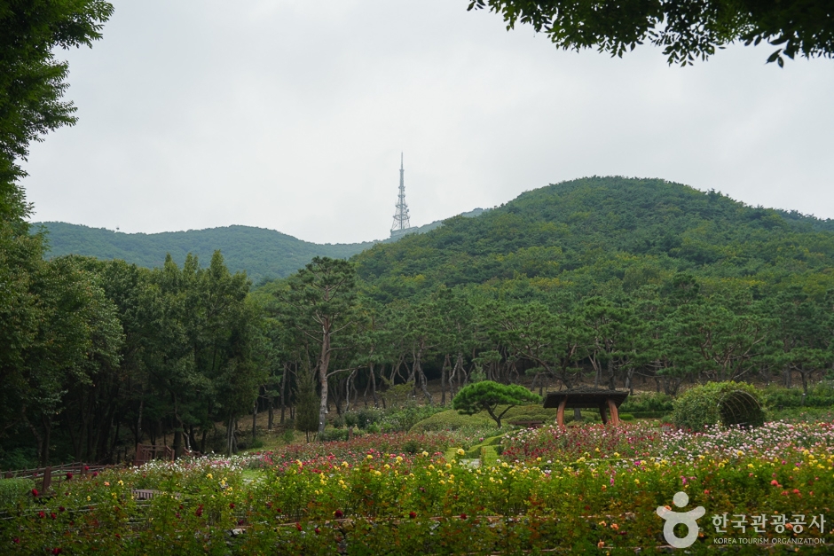 A04304_인천_계양_계양산(15)