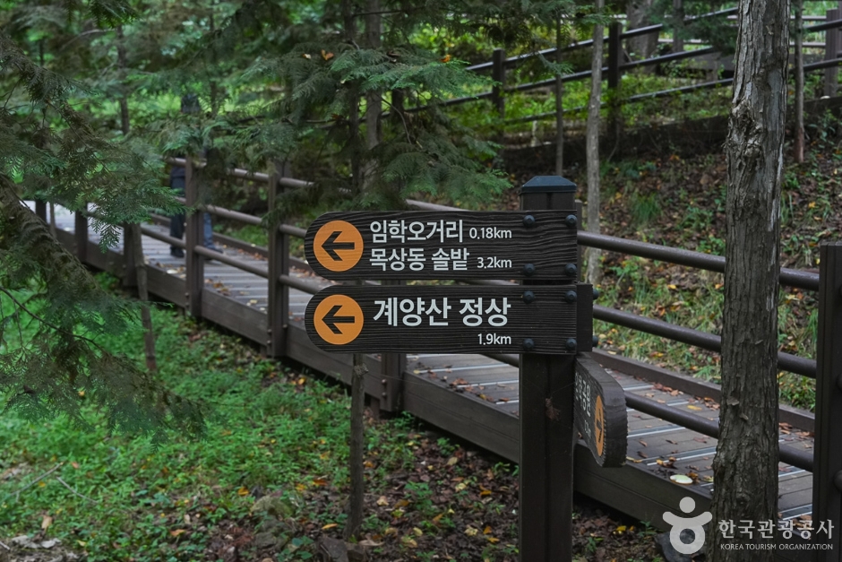 A04304_인천_계양_계양산(6)