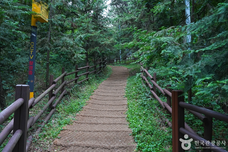 A04304_인천_계양_계양산(7)