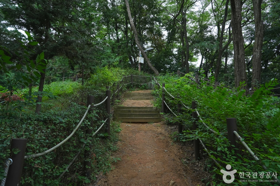 A04302_인천_계양_계양산 산림욕장(11)