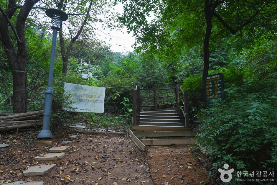 A04302_인천_계양_계양산 산림욕장(14)