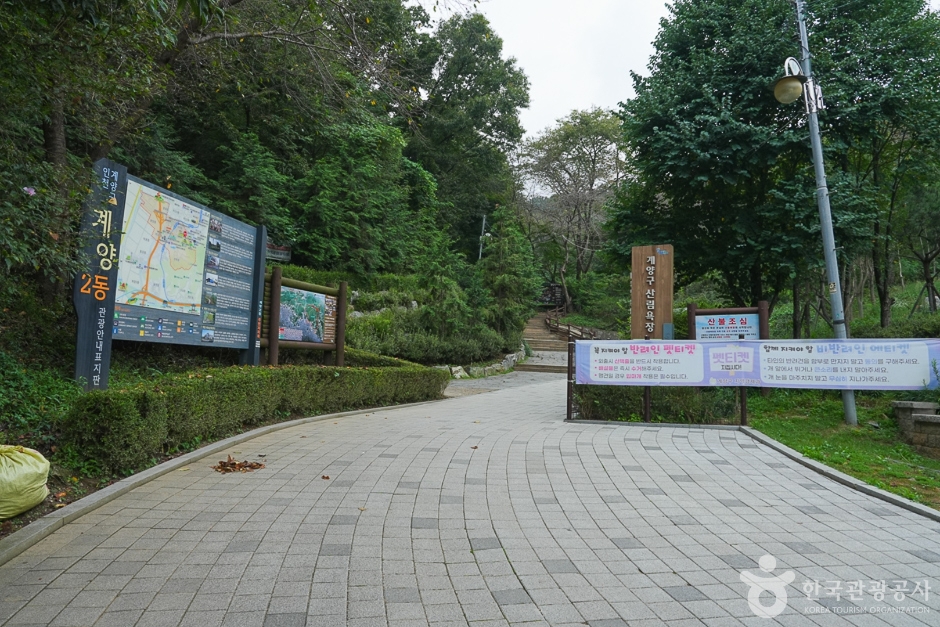 A04302_인천_계양_계양산 산림욕장(16)