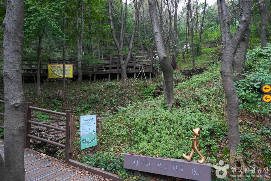 A04302_인천_계양_계양산 산림욕장(3)