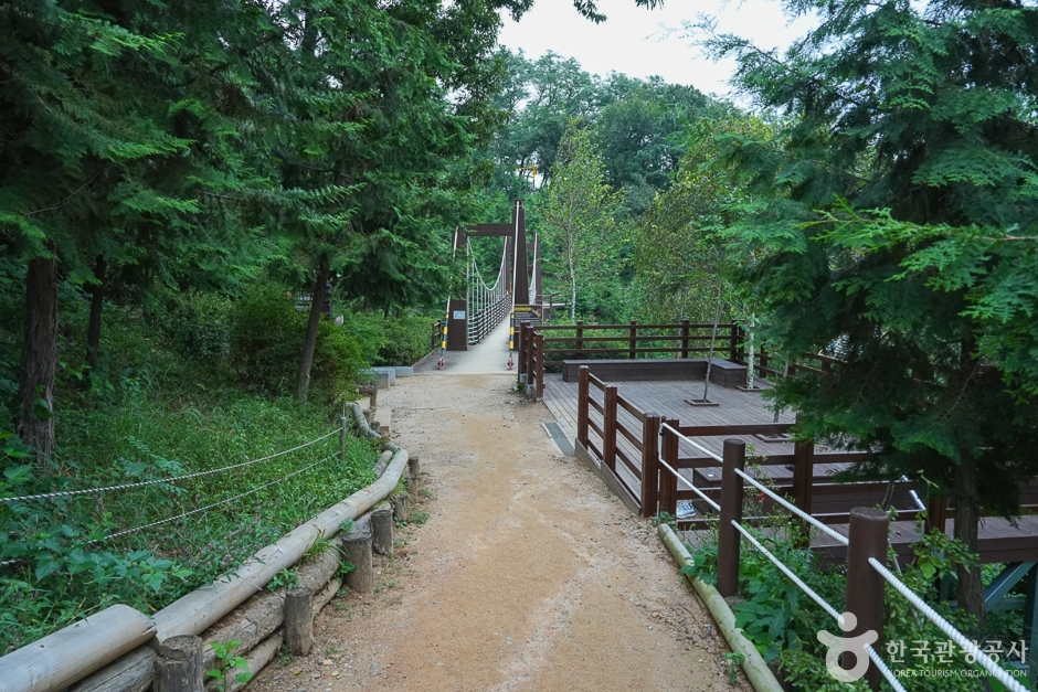 A04302_인천_계양_계양산 산림욕장(5)