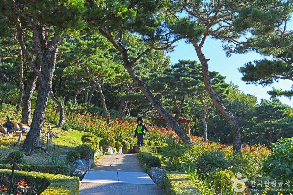 인천_계양산장미원 (3)