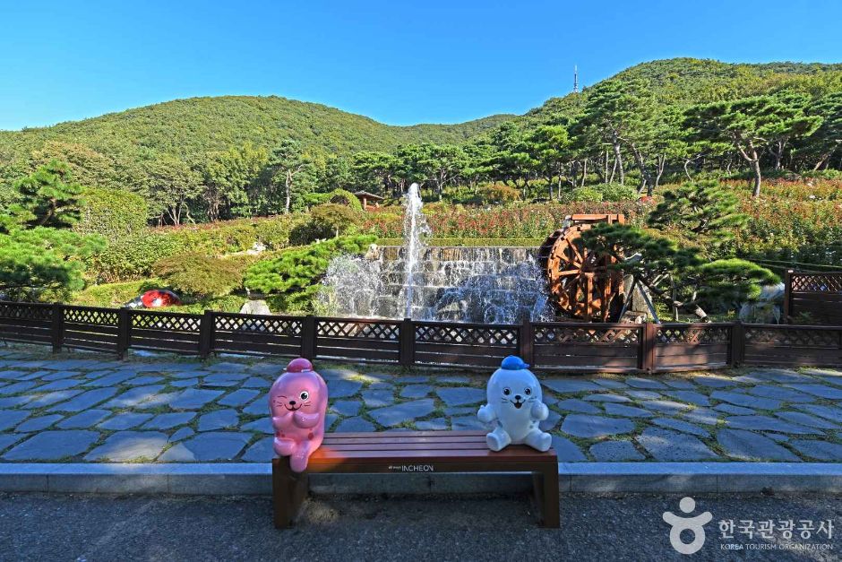 인천_계양산장미원 (4)