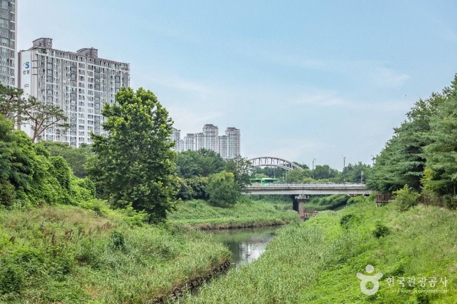 인천_굴포천 생태하천 (1)