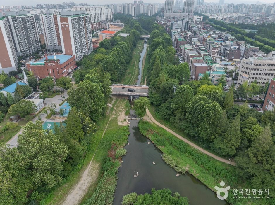 인천_굴포천 생태하천 (4)