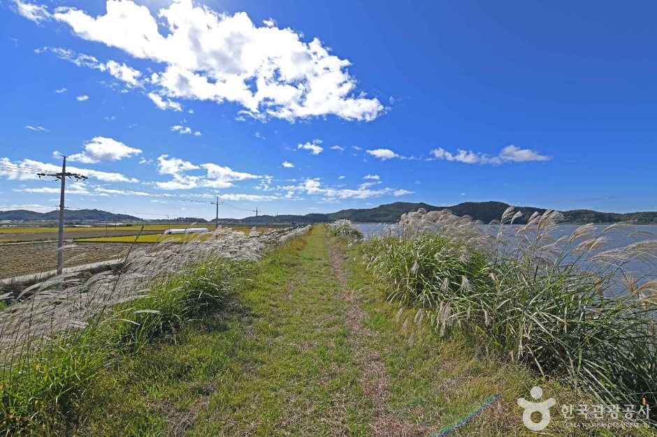 강화_난정저수지 (6)