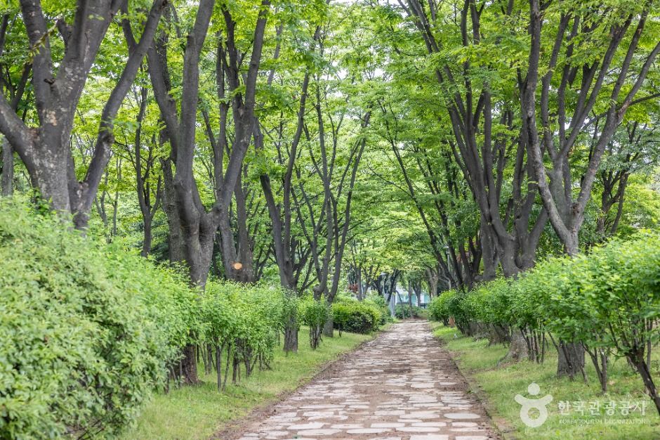 인천_남동공단근린공원 (4)