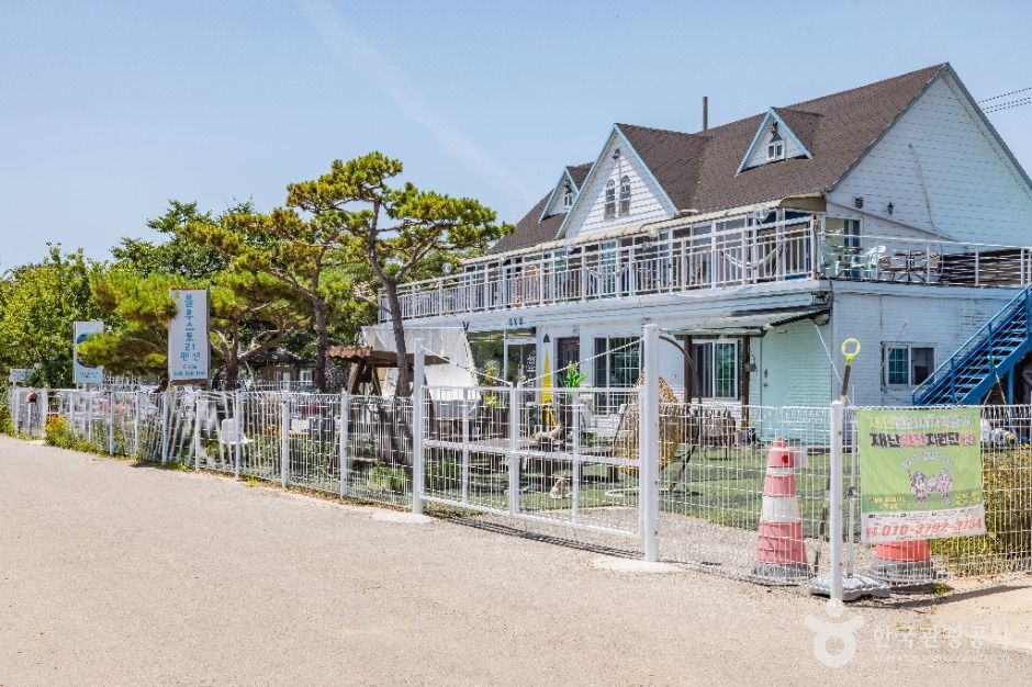 옹진_노가리해변 (3)