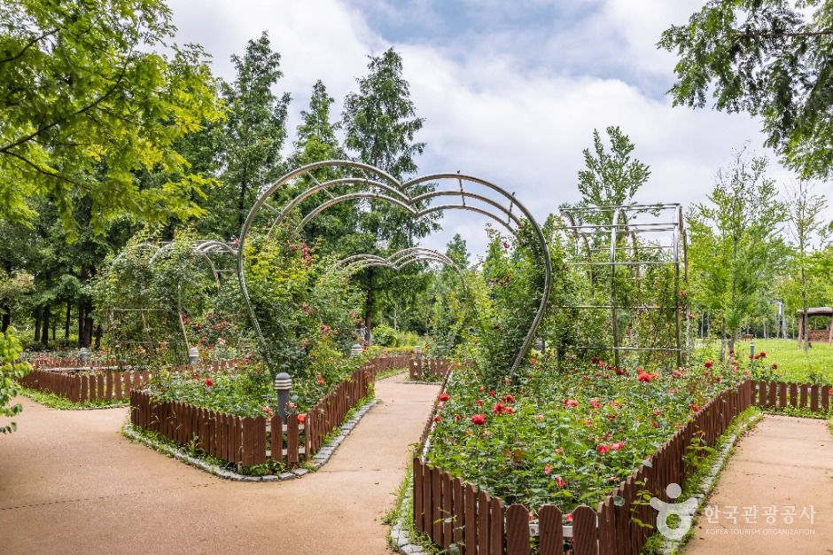 인천_늘솔길공원 (1)