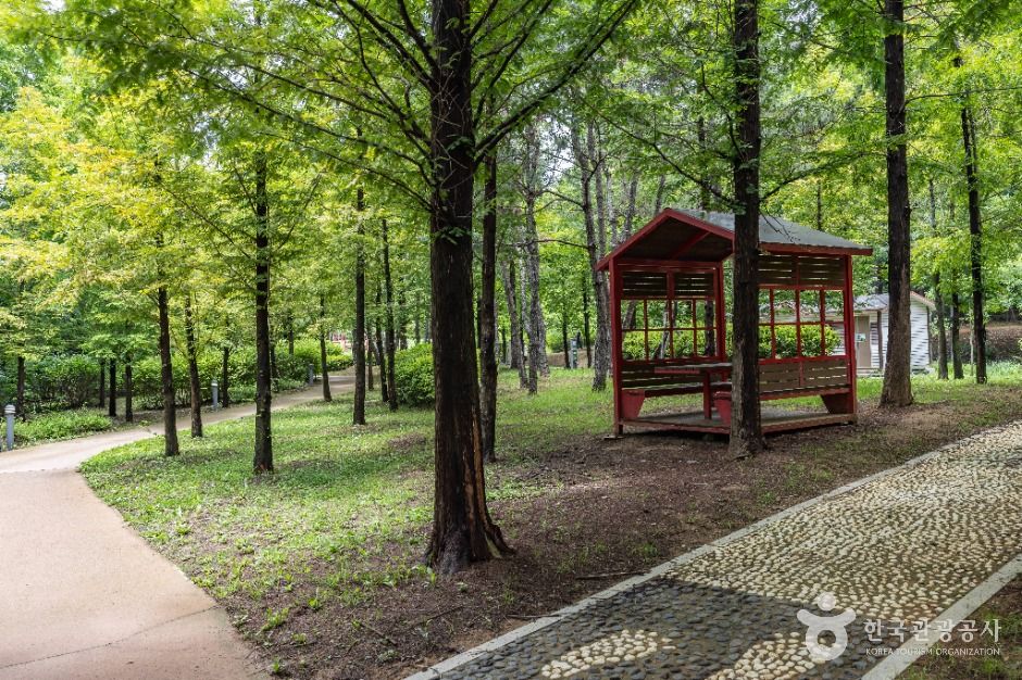 인천_늘솔길공원 (3)