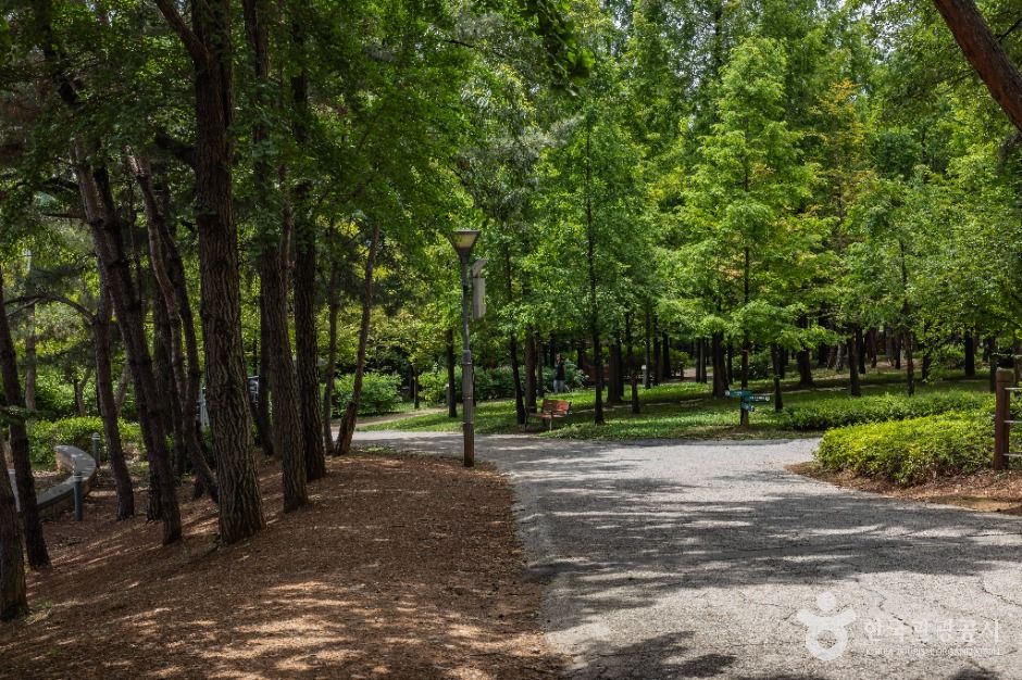 인천_늘솔길공원 (4)