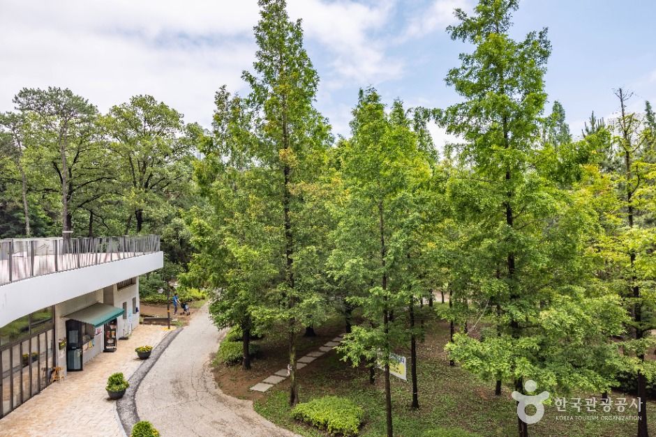 인천_늘솔길공원 (10)