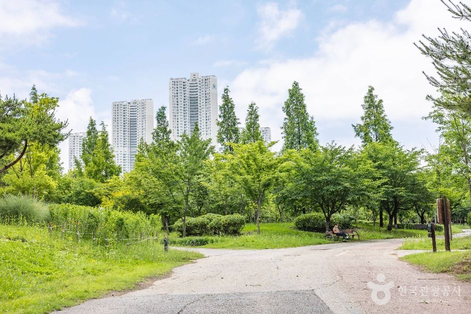 인천_늘솔길공원 (6)