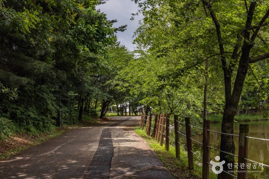 인천_늘솔길공원 (7)