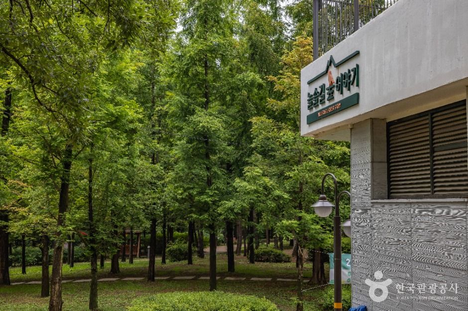 인천_늘솔길공원 (9)