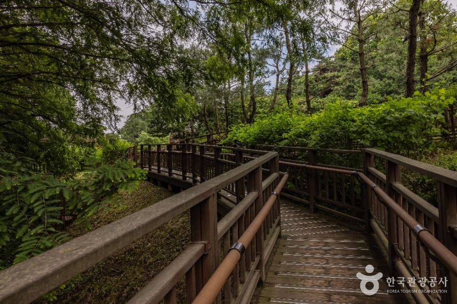 인천_늘솔길공원 (11)