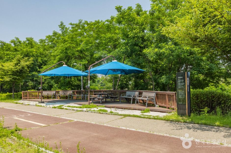 인천_늘푸른공원 (2)