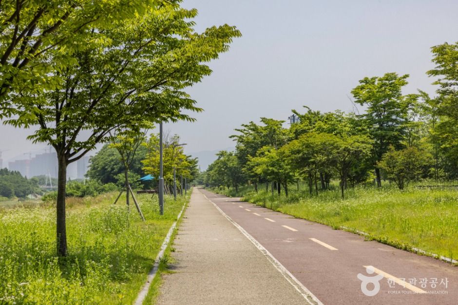 인천_늘푸른공원 (6)