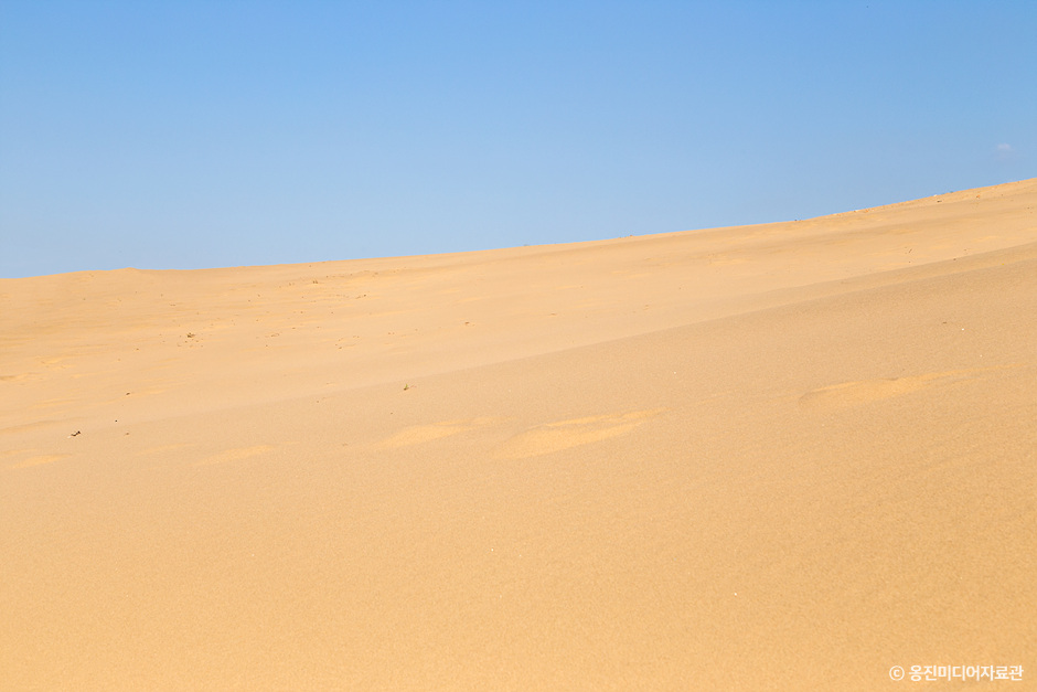 대청도 옥죽동모래사막_5