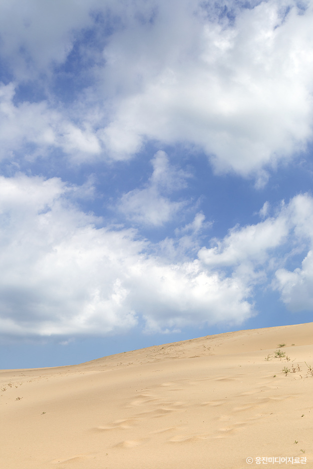 대청도 옥죽동모래사막_3
