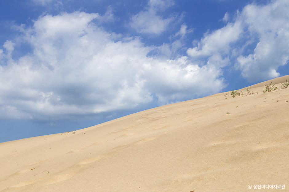 대청도 옥죽동모래사막_2