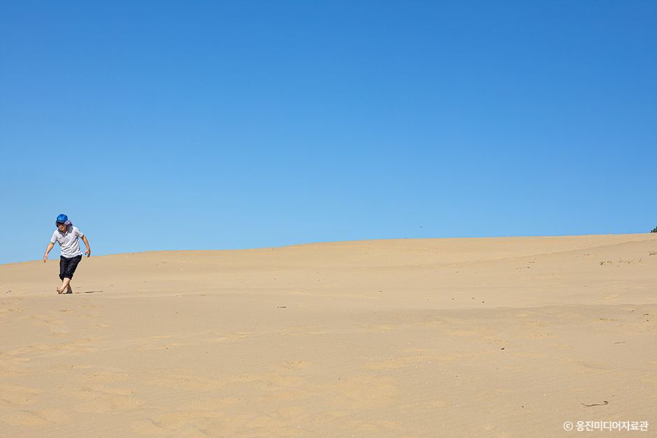 대청도 옥죽동모래사막_7