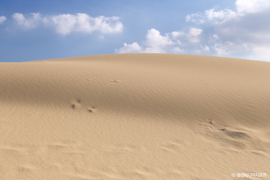 대청도 옥죽동모래사막_4