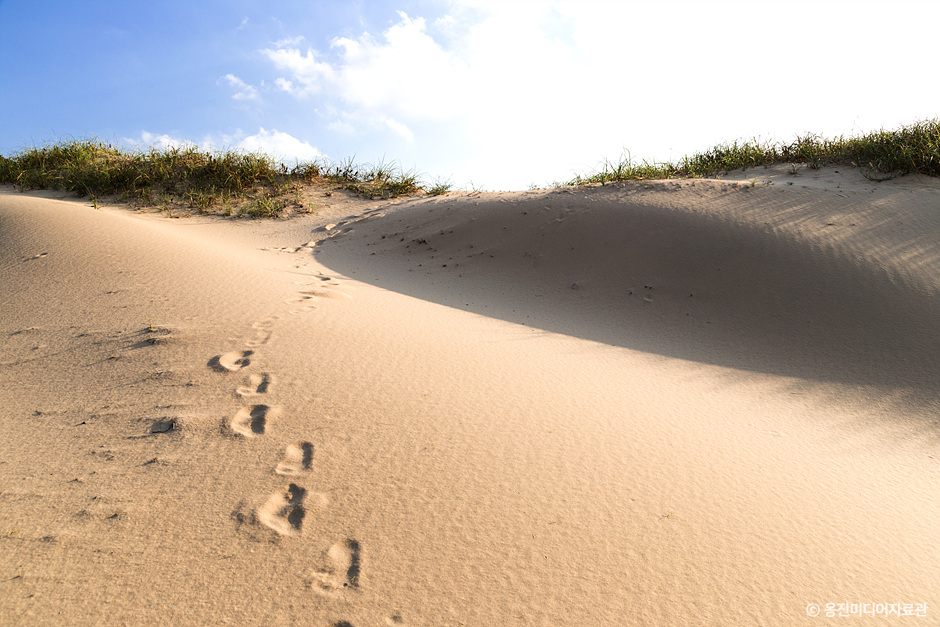 대청도 옥죽동모래사막_6