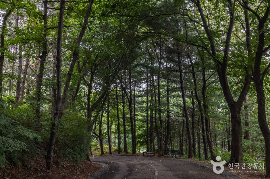 인천_대학공원 (5)