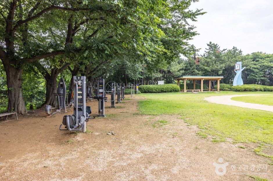 인천_대학공원 (2)